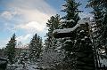 Bayerwald Tierpark_21